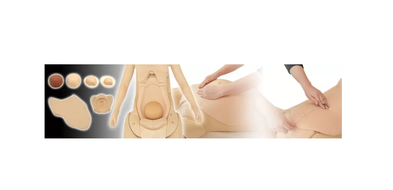 Modul für Hana - Nachgeburtliche Untersuchung - Erler - Zimmer